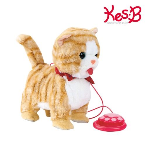 그루밍하는고양이