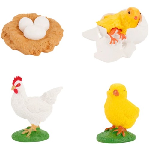 성장과정피규어닭+활동지