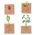 성장과정피규어식물+활동지(2773)