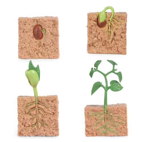 성장과정피규어식물+활동지(2773)