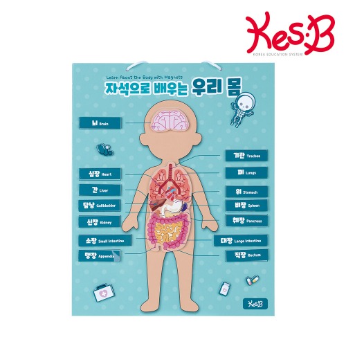 자석으로배우는우리몸