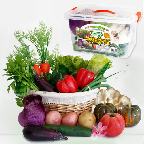 진짜같은야채모형세트