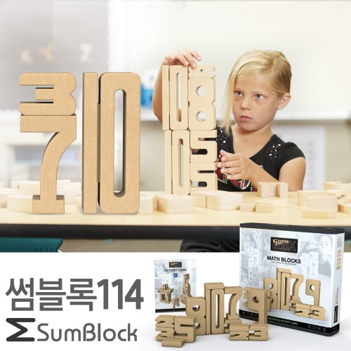 썸블록학습세트114