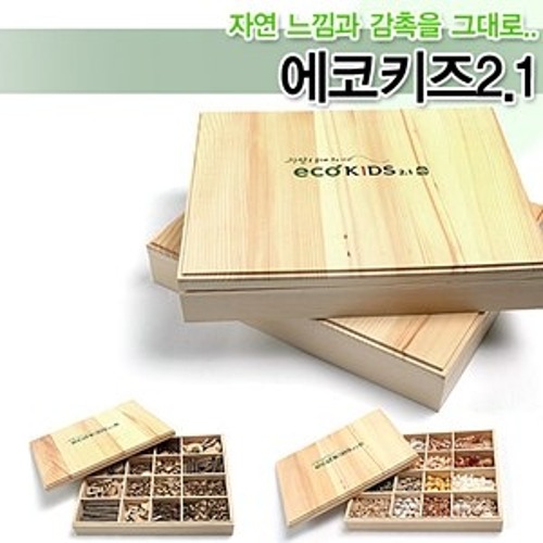 에코키즈2.1