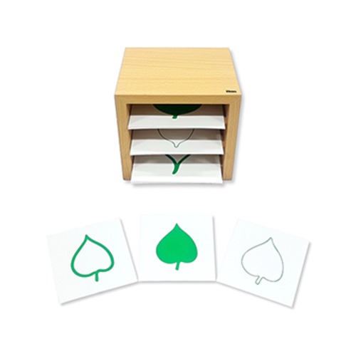 나뭇잎도형카드와상자