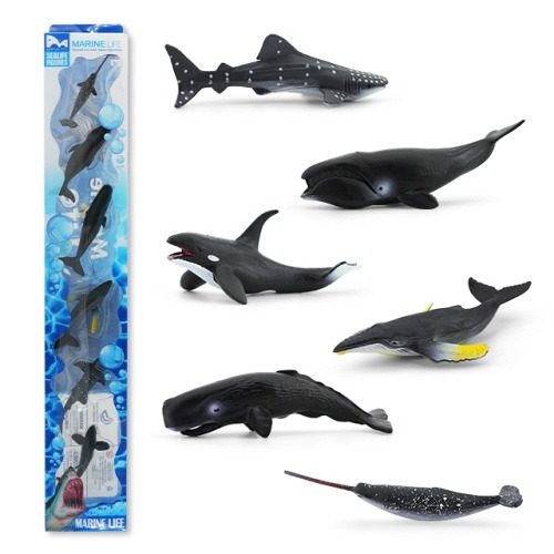 모펀미니월드바다고래친구들