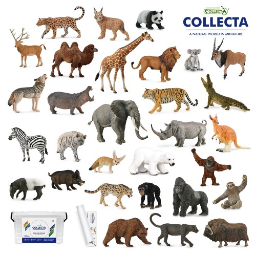 컬렉타교육세트베스트야생30종