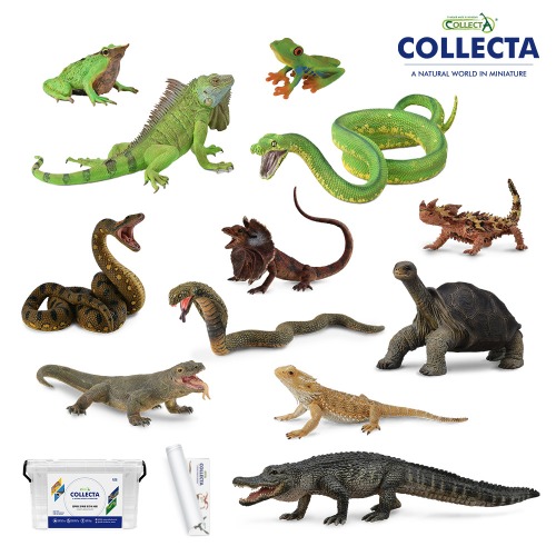 컬렉타교육세트베스트파충류/양서류12종