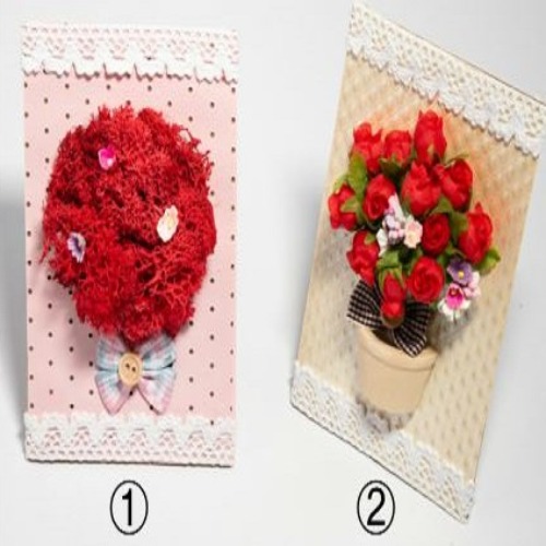 스칸디아모스카네이션액자