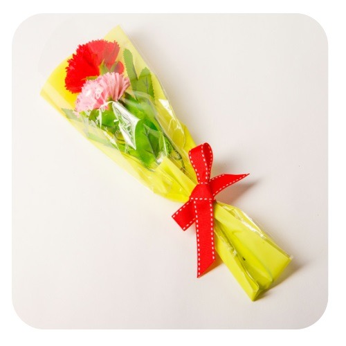 비누카네이션2송이