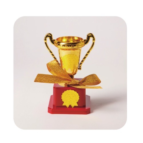 미니트로피만들기