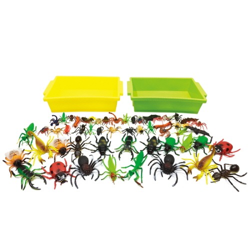 소프트곤충56종