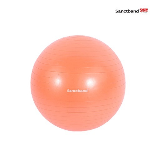 짐볼안티버스트 오렌지55센치