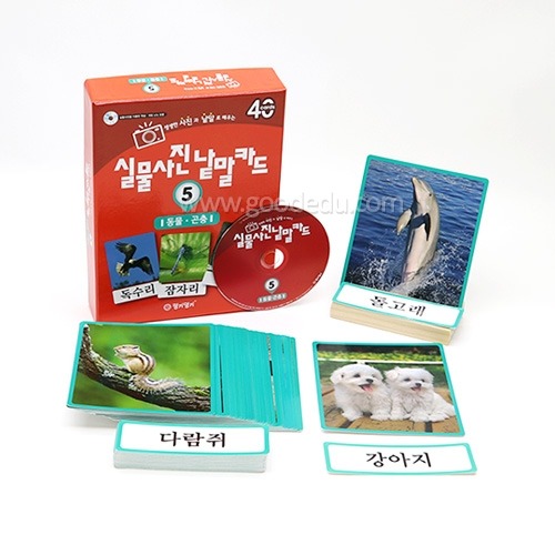 실물사진낱말카드시리즈동물,곤충