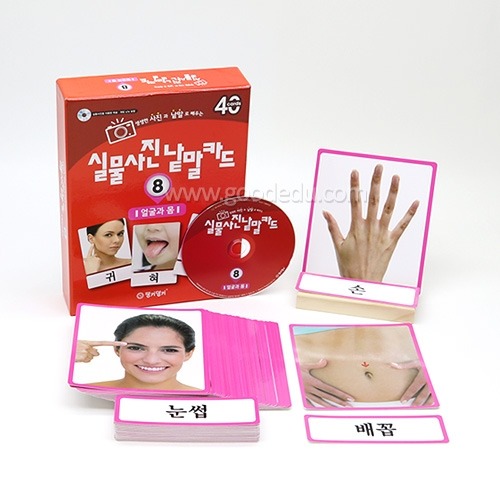 실물사진낱말카드시리즈얼굴과몸