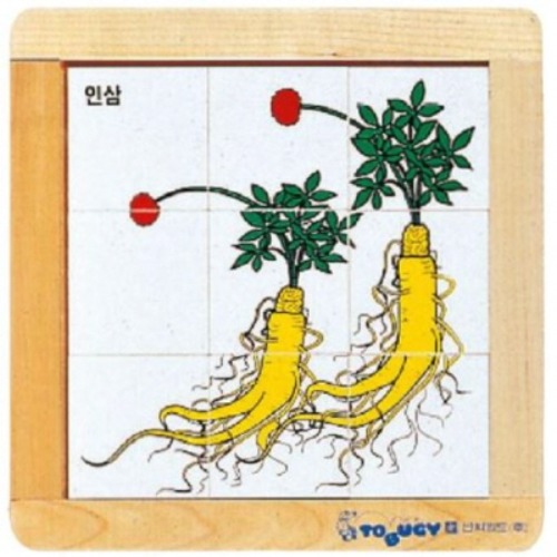 우리나라상징퍼즐인삼