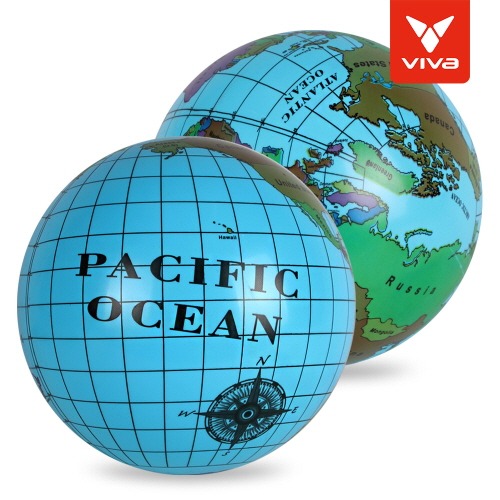 비바지구본탱탱볼