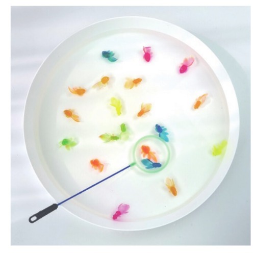 빌랑금붕어낚시놀이세트수세기